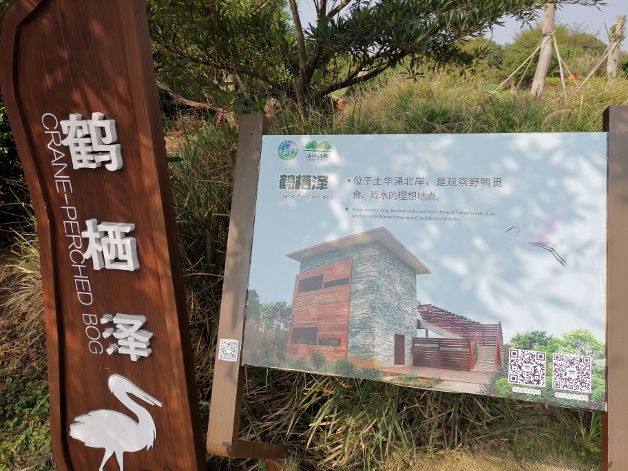 浓烈芬芳  春风十里赏花路  徜徉在广州海珠湿地的花海之中