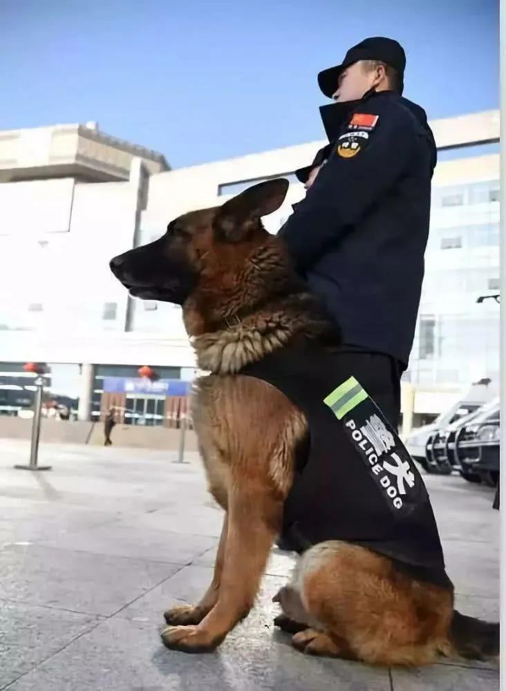 《犬诗十卷》第四卷·警犬