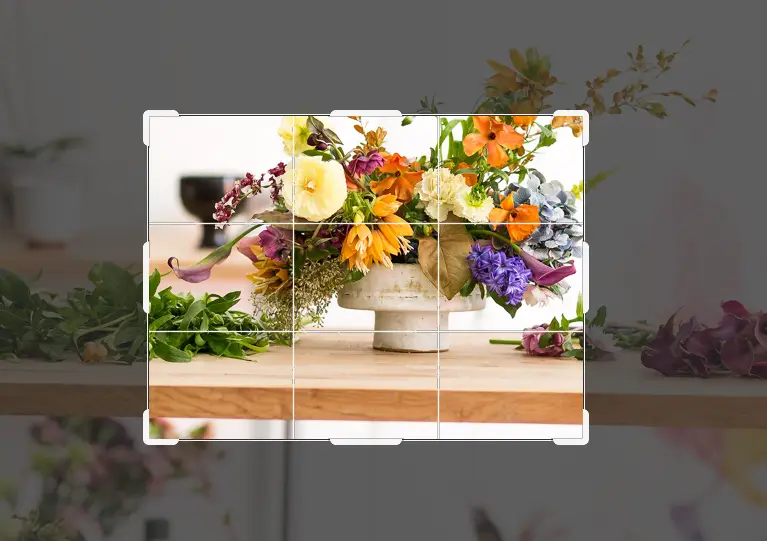 八：一分钟学会PS裁剪和调整图像大小