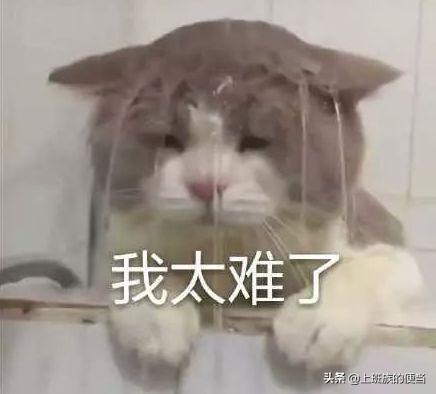 蟹黃豆腐,蟹黃豆腐的做法