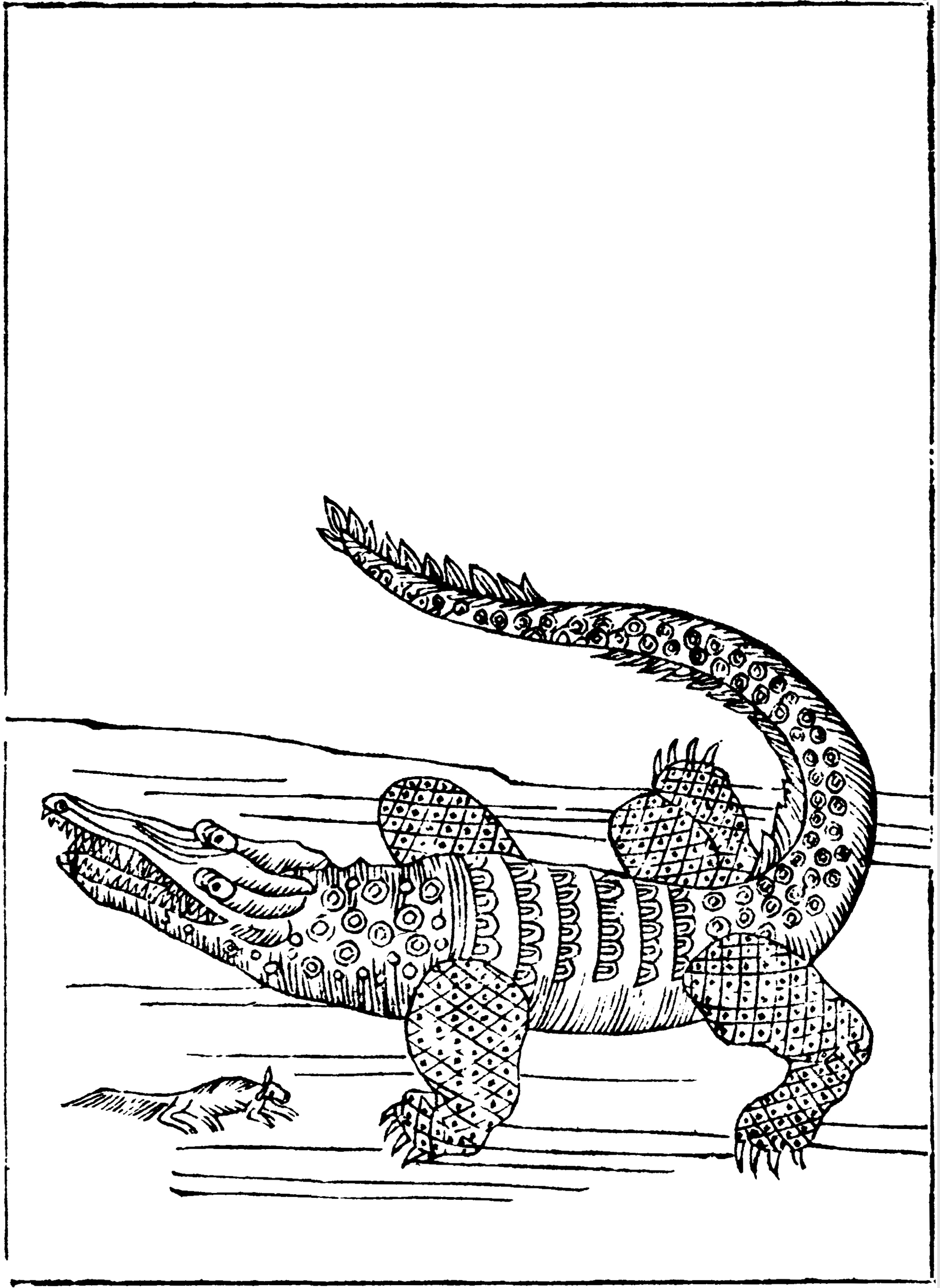 历史上曾活跃在中国的鳄鱼主要有扬子鳄和湾鳄.