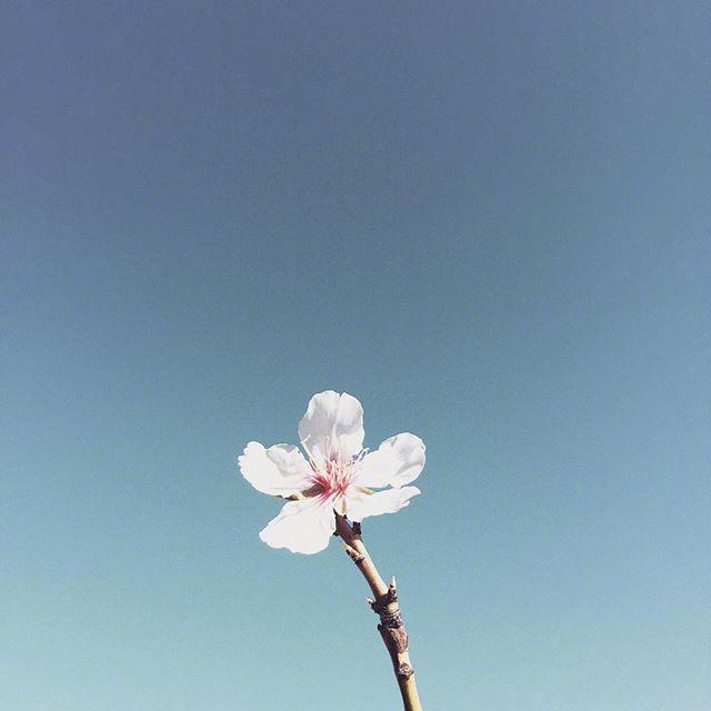 庆祝母亲节快乐送礼物祝福贺词，句句简短暖心