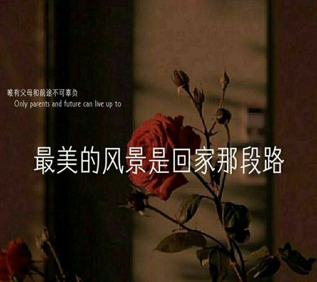 失恋博物馆”的句子：继续或结束都需要勇气