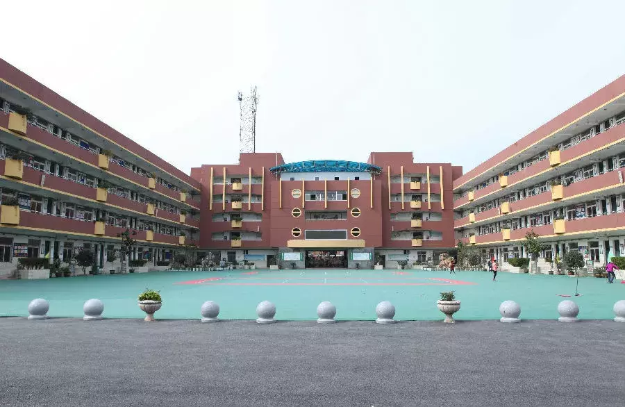 关注小升初 | 合肥行知学校重要信息汇总（附三年指标情况）