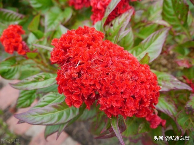 过往不恋，未来不迎，当下不负，如此安好