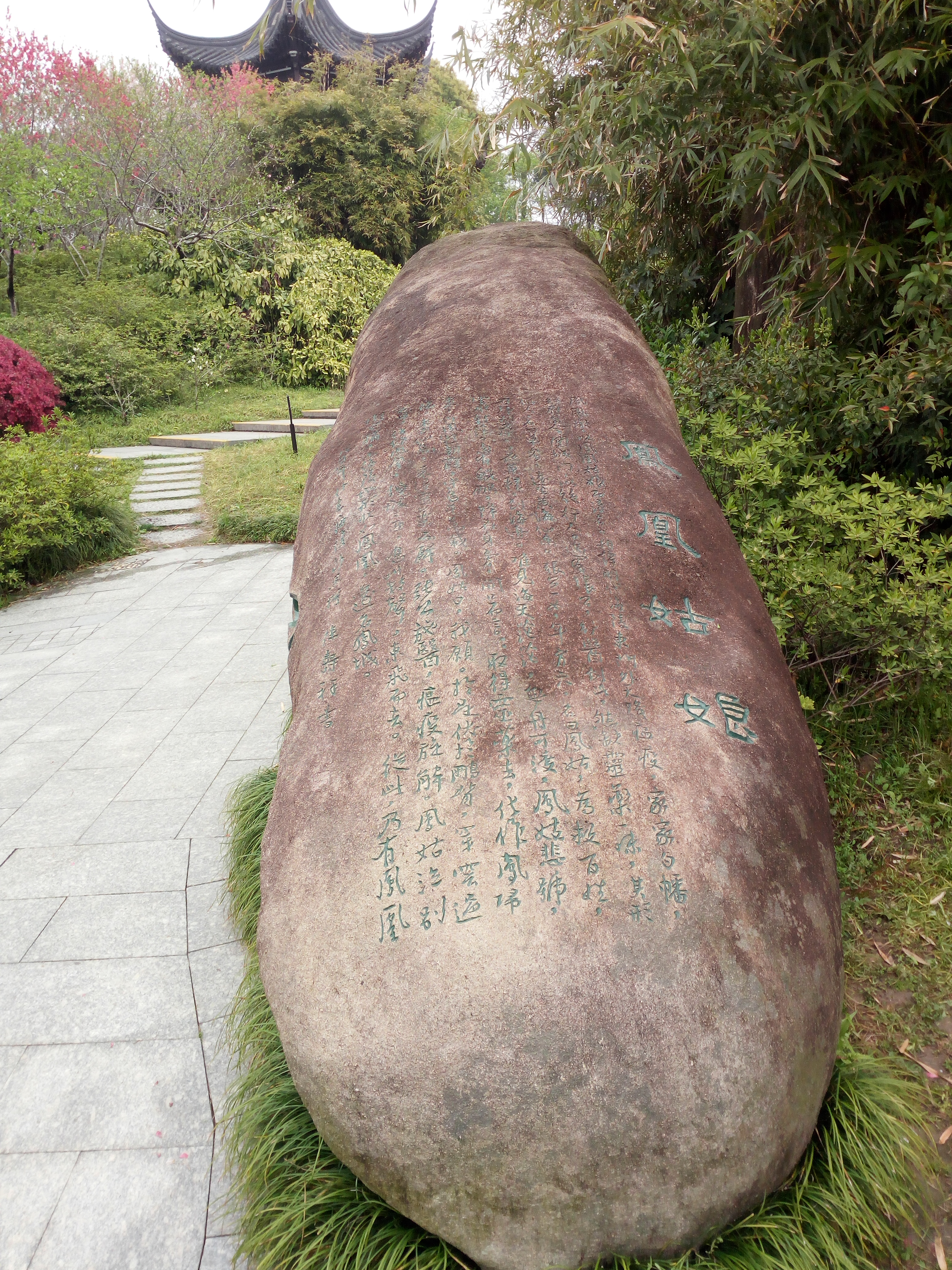 「花未眠•江苏的花」—桃花坞里桃花庵：泰州桃园