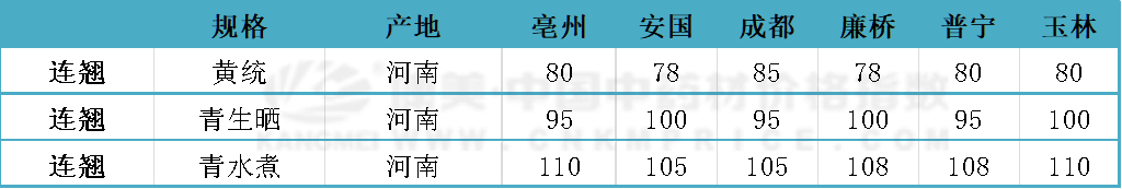 连翘行情持续高涨