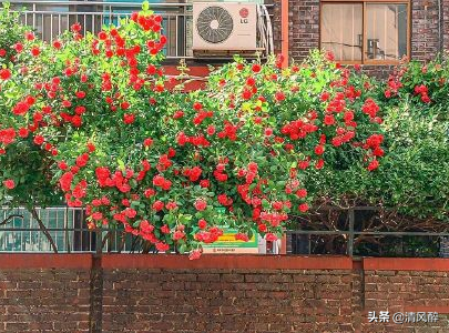 人变了心言而无信的委屈说说