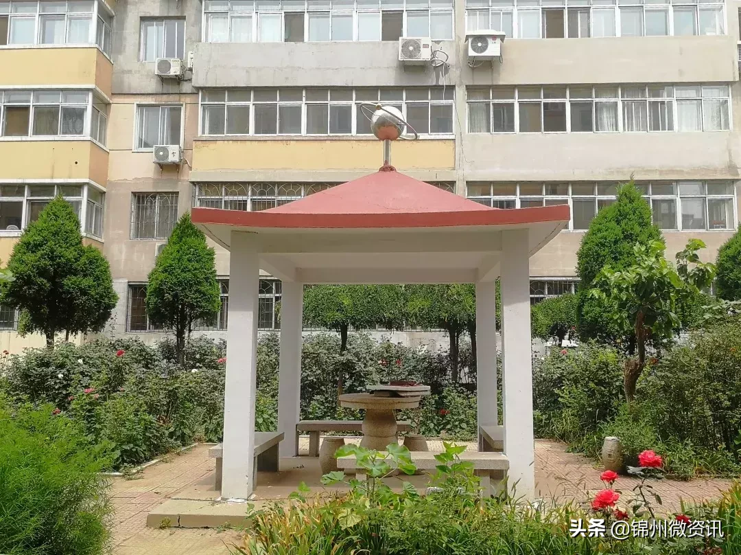 锦州实验学校三年小同学的一封信！凌河区小街小巷大变样