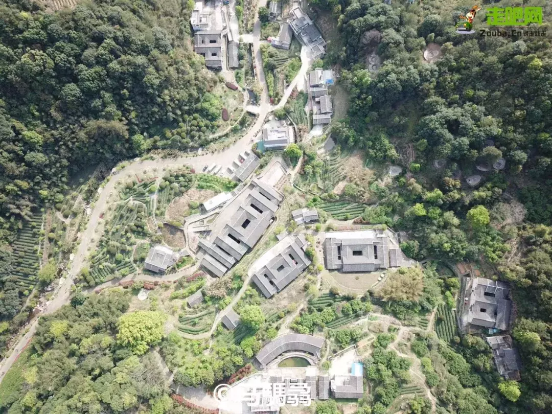 冬日暖阳下的避寒仙境：探寻四季如春的温暖秘境