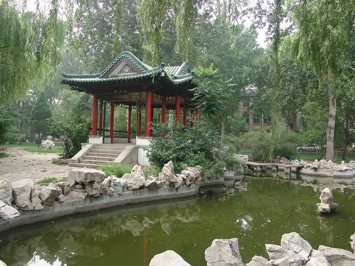 山东省的大学，山东师范大学