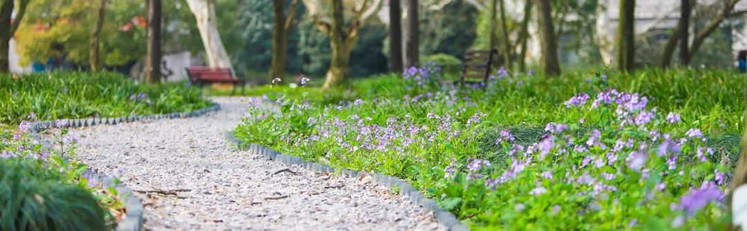 浙江师范大学在职研究生（权威发布）