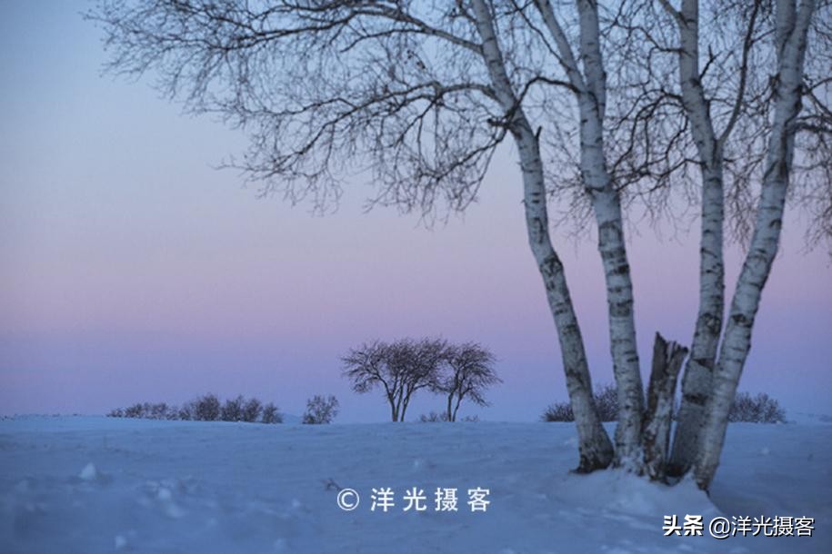 记忆里最美的冬日雪景，或许还是那片幽静美丽的白桦林