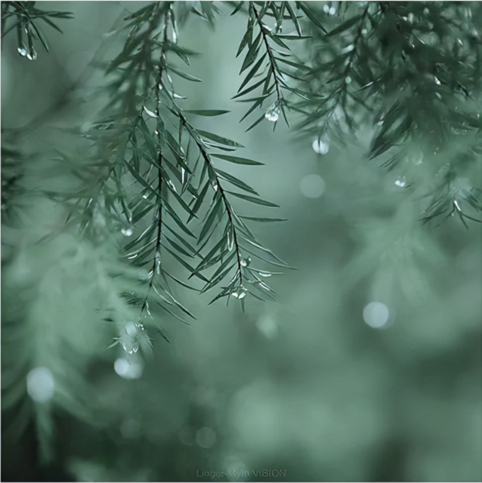 雨天做后期，还得绿一点