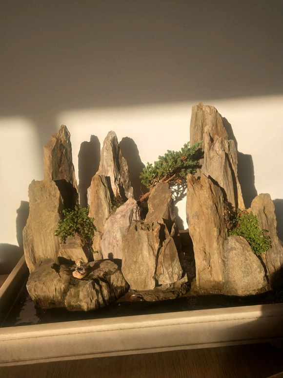 假山盆景图片大全欣赏小型假山盆景图片大全欣赏