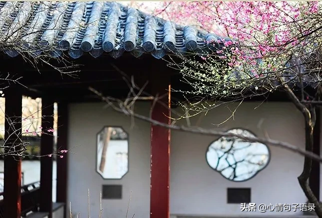 苍天不负勤劳人，环卫工人用双手守护城市洁净之美