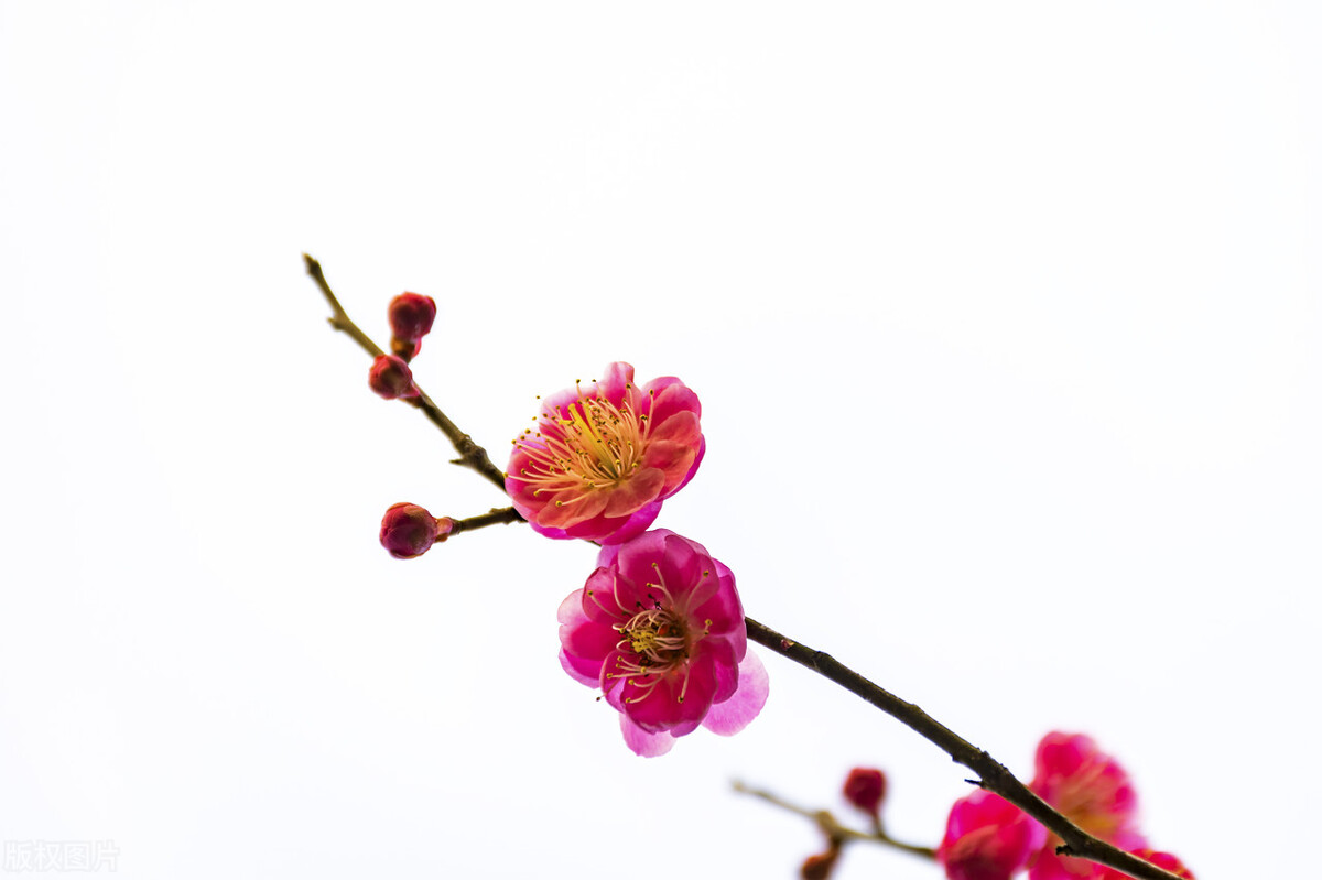 十大最令人惊艳的词牌名有哪些？