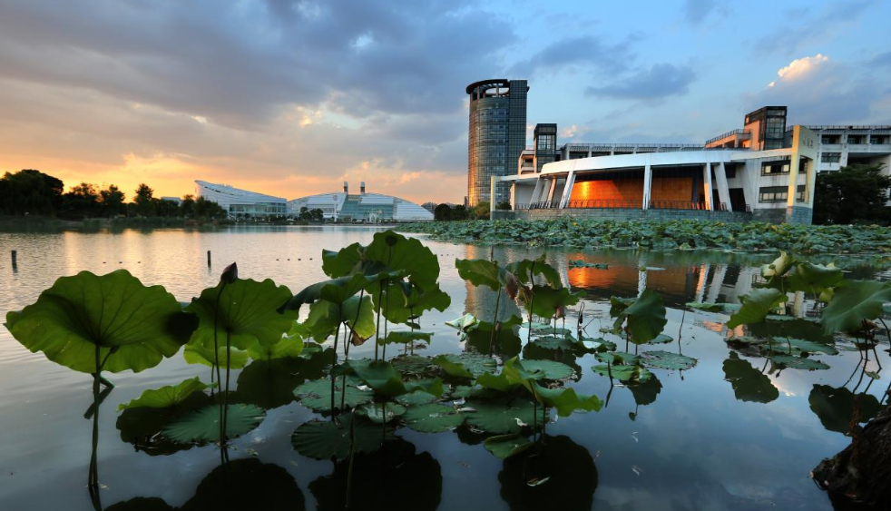 浙江省大学排名出炉，杭电排第5名，浙大独占鳌头