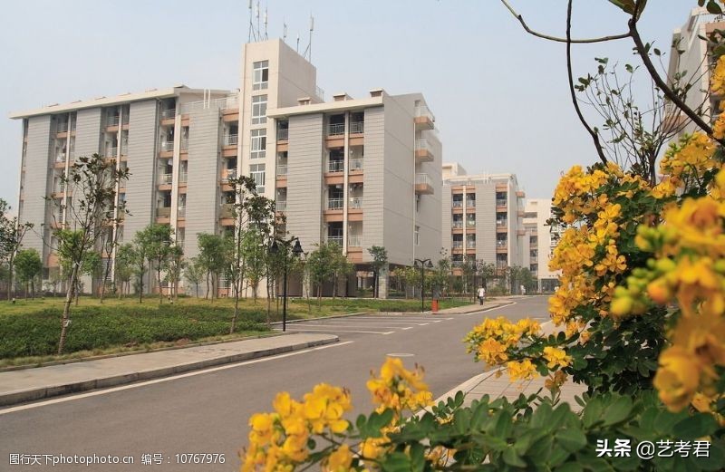 山水之城重庆大学：小林美术联考260分文化多少分才能被录取？