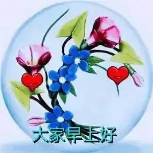 美女表情包：真正的绝望，是内心的迷茫