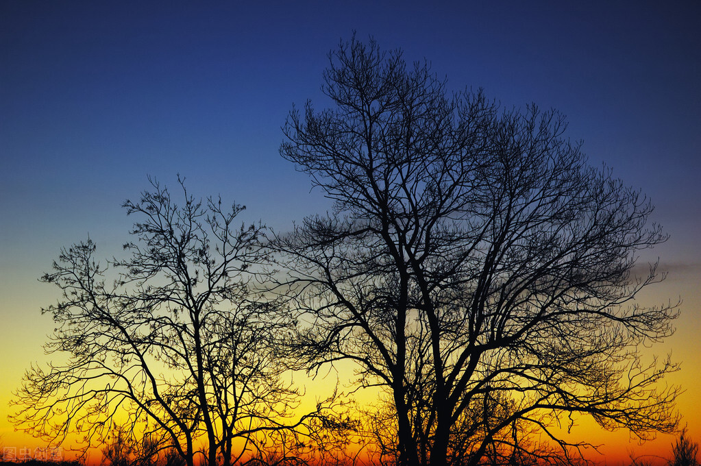 生命中最美的风景