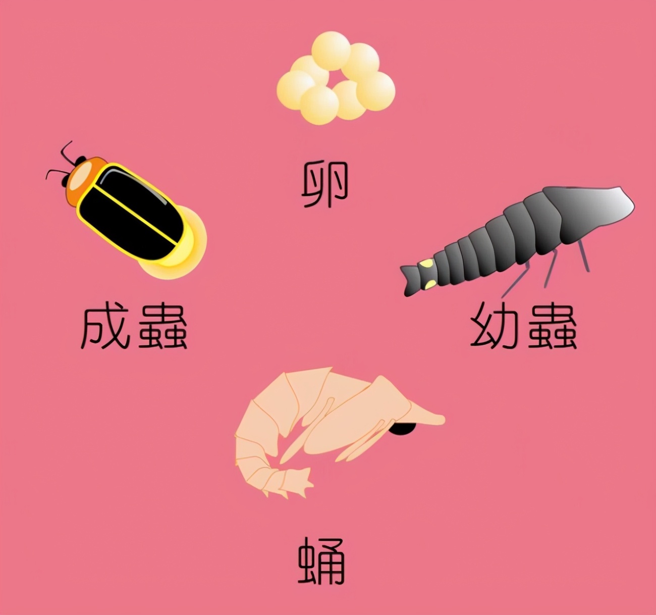 550tv萤火虫直播ios550tv萤火虫直播公司电话