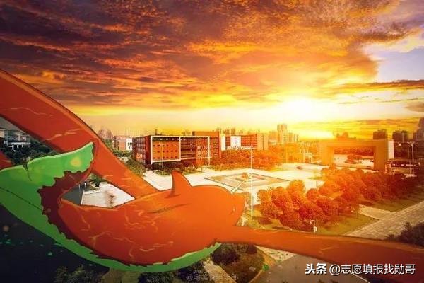 名氣不大，却是中国包装行业的人才摇篮，湖南工業大學！