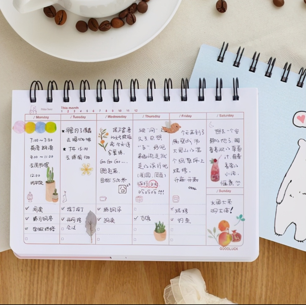 从不上补习班，从普通学生到河北省状元，邢雨菡到底做了什么？