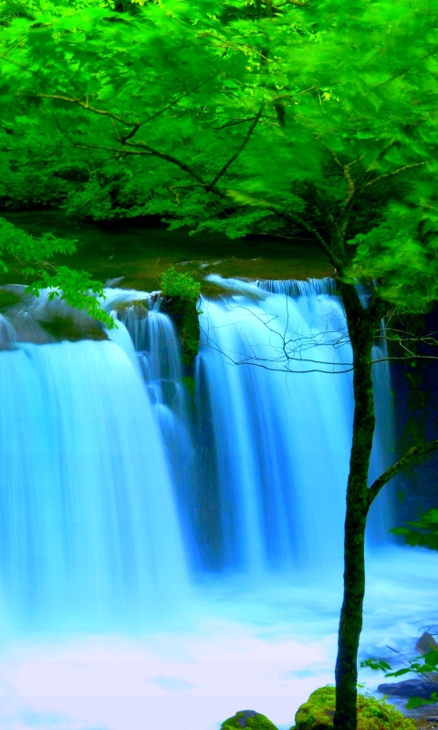 手机壁纸——风景600