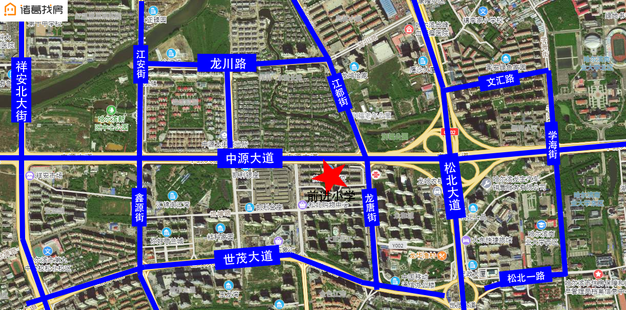 来了！松北区公办小学学区范围出炉！这里的学区房价格是这样的