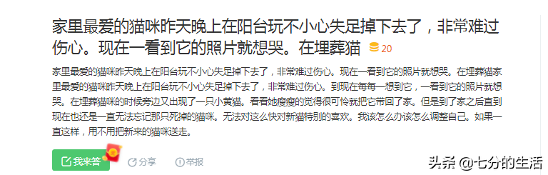 “我家猫24楼摔下都没死！”2020年了，竟然还有人信猫有九条命？