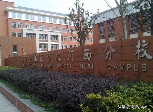 苏杰、致远、仙外……南京民办小学师资、特色大比拼！