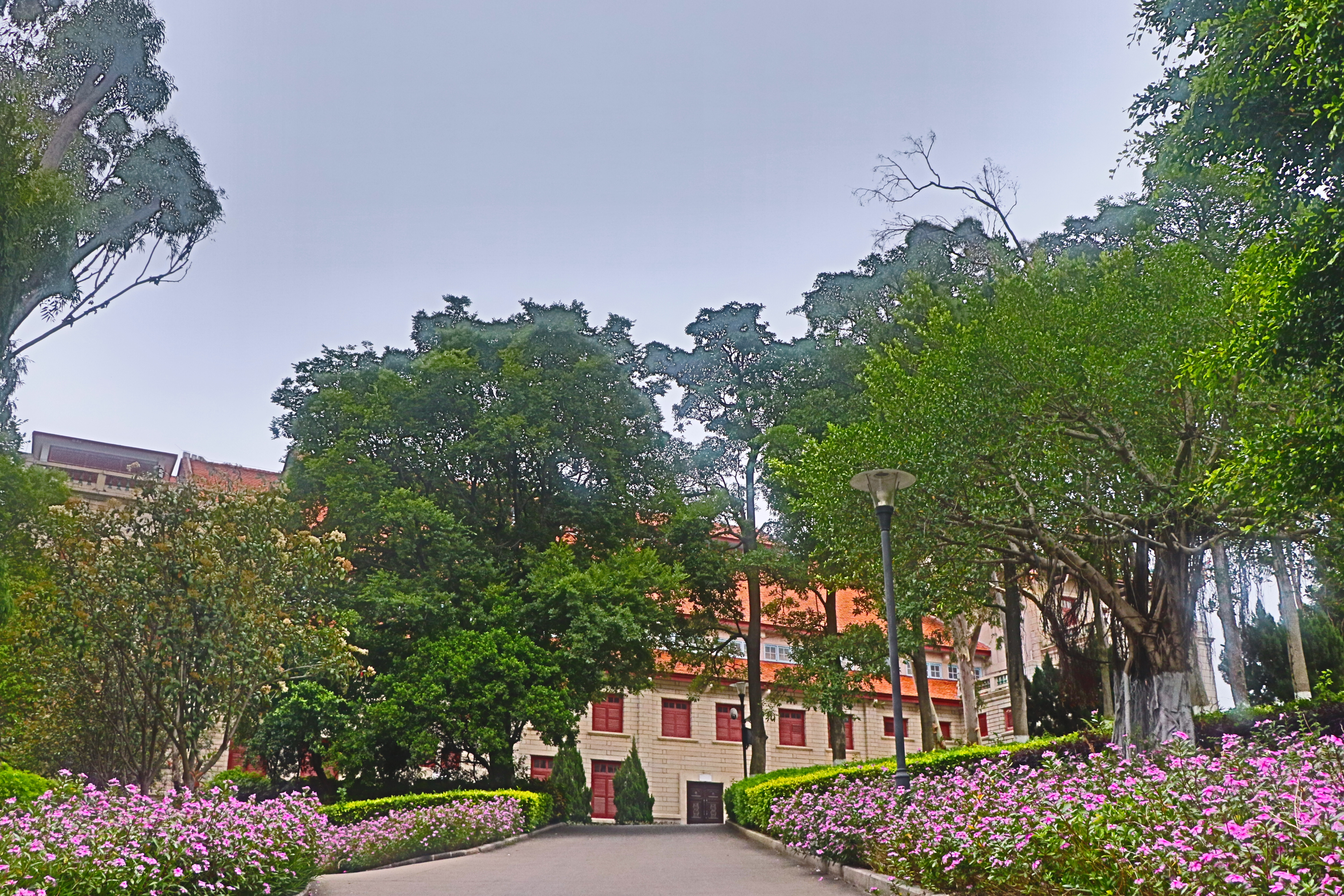 为何被誉为中国最美大学？美女向导带你掀起厦大的美丽面纱