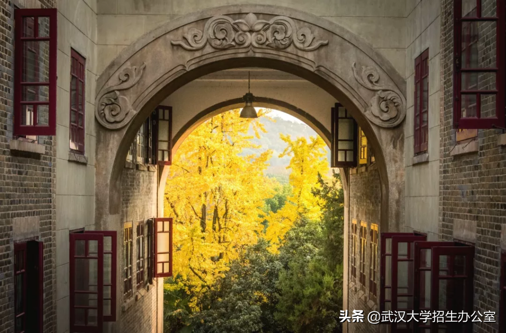 超50万人报考！来武汉大学，2025年，你将拥有“无价之物”！