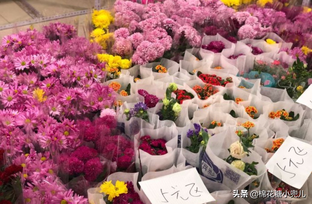 北京花卉市场（北京最大的绿植批发市场）