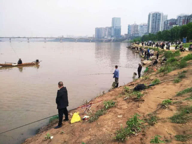 黄鸭叫学名叫什么鱼（此鱼各地叫法各不相同）