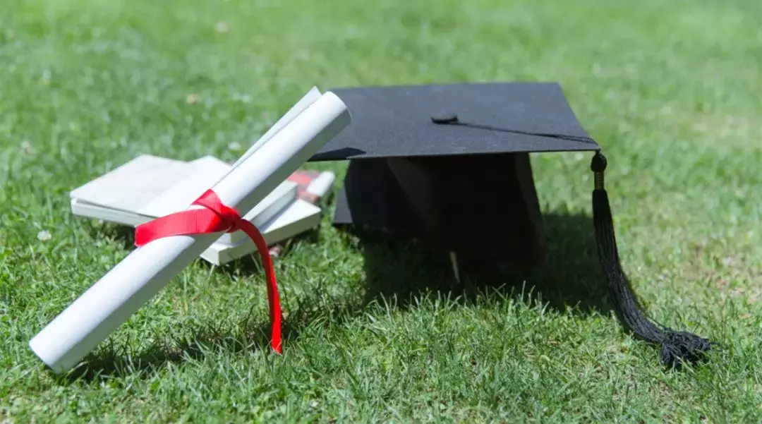 东南大学2018年毕业生就业质量报告