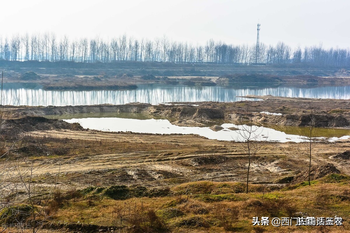 新土地法：禁止在基本农田里栽树，已栽种多年咋处理？早看早知道