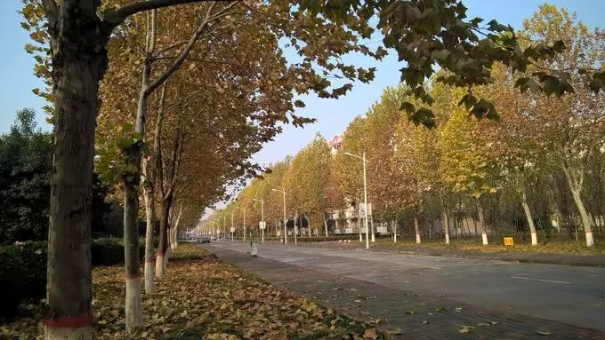 择校篇 | 法硕考研备考锦囊之河南师范大学