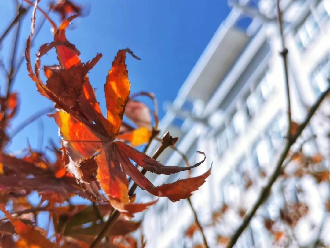 神仙颜值！坐拥