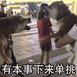 骂别人「双标狗」，算不算道德绑架？