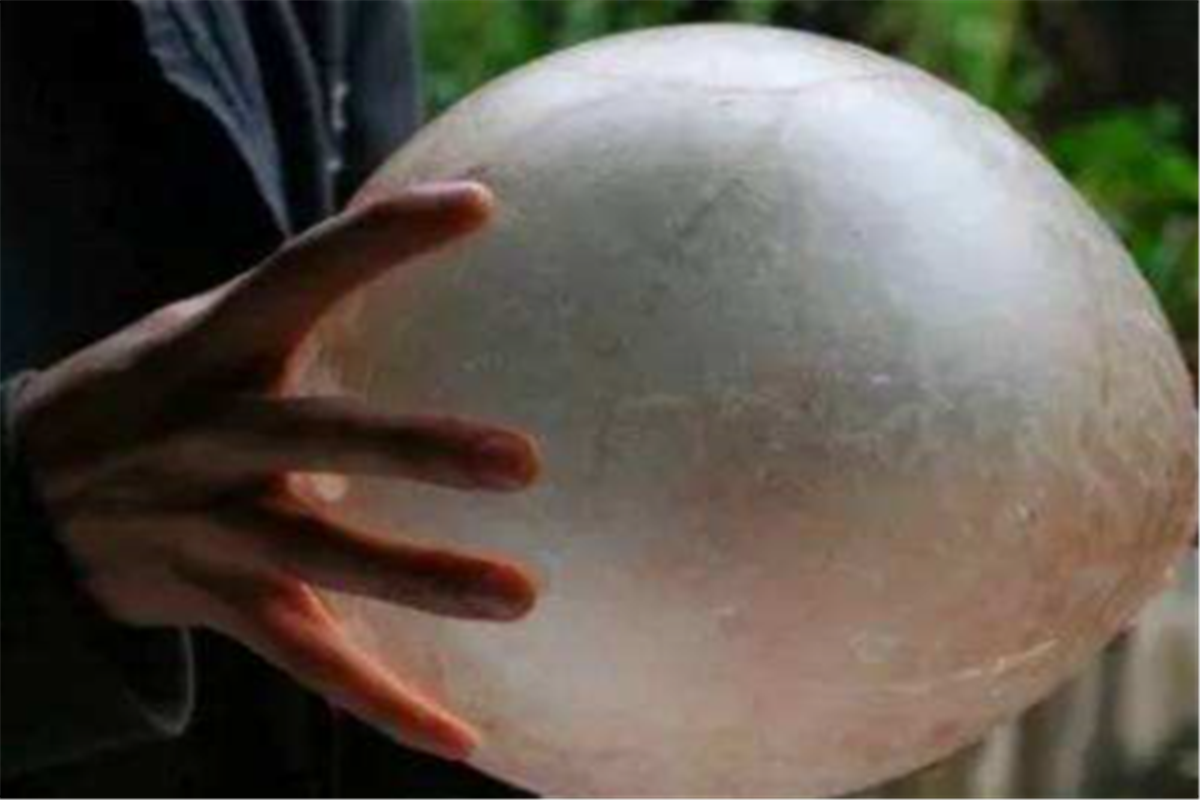 农村俗语:尿泡虽大无斤两,秤砣虽小压千斤,老祖宗的处世智慧