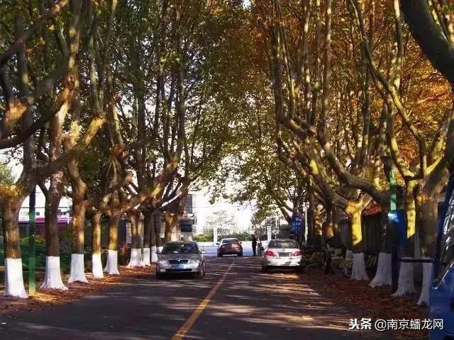 南京信息工程大学，又火了！