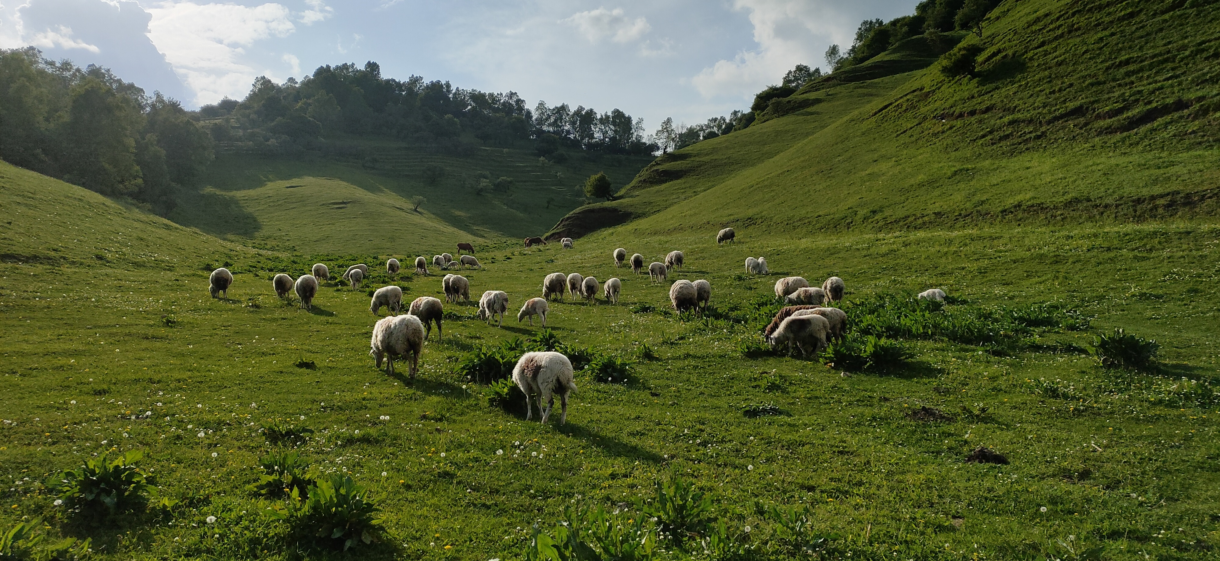 宝鸡关山牧场_陕西关山草原旅游风景区 - 密云旅游