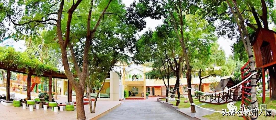 孩子在幼儿园吃了啥?杭州7所餐食超棒的幼儿园!看你家上榜没?