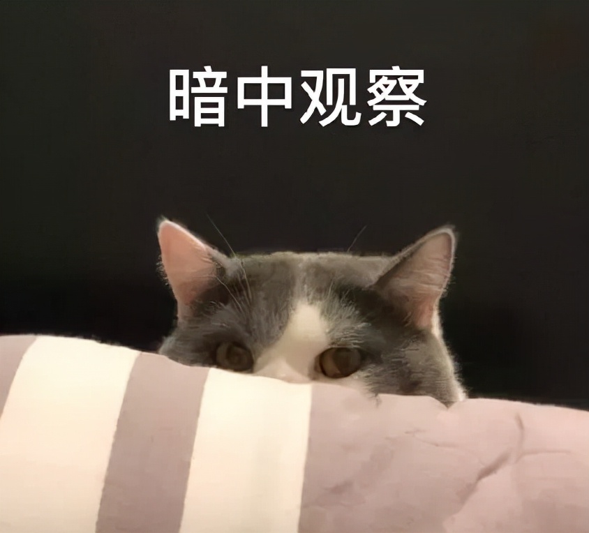 天呐，我究竟是为啥要学俄语啊