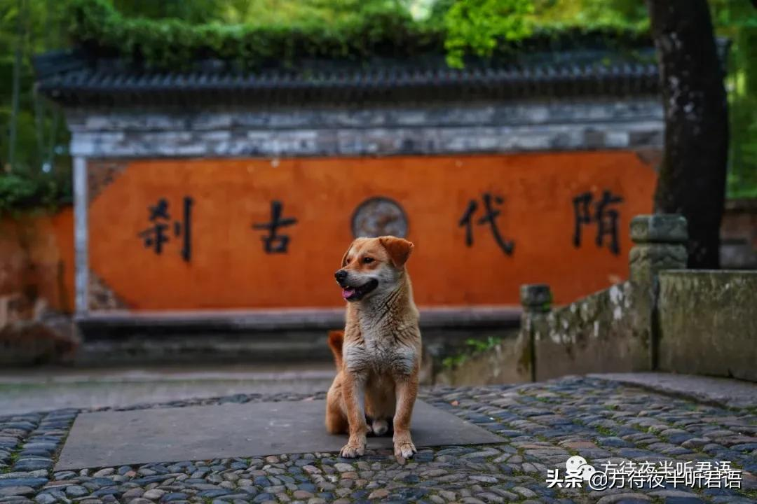 天台国清寺｜一念三千，风约孤萤落砌间