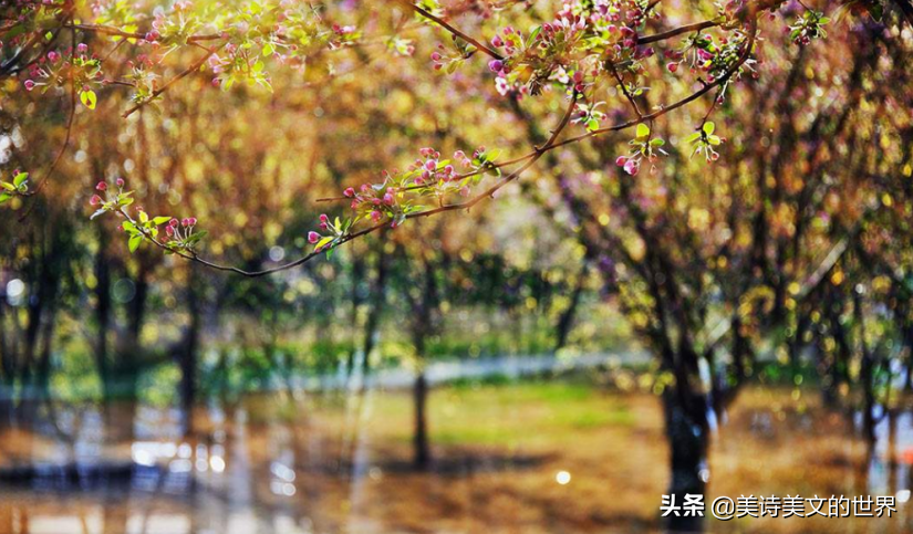 “沾衣欲湿杏花雨，吹面不寒杨柳风”何意？康震：很多人理解错了