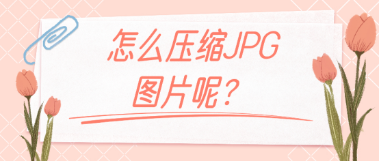 怎么压缩JPG图片呢？四种方法分享给你
