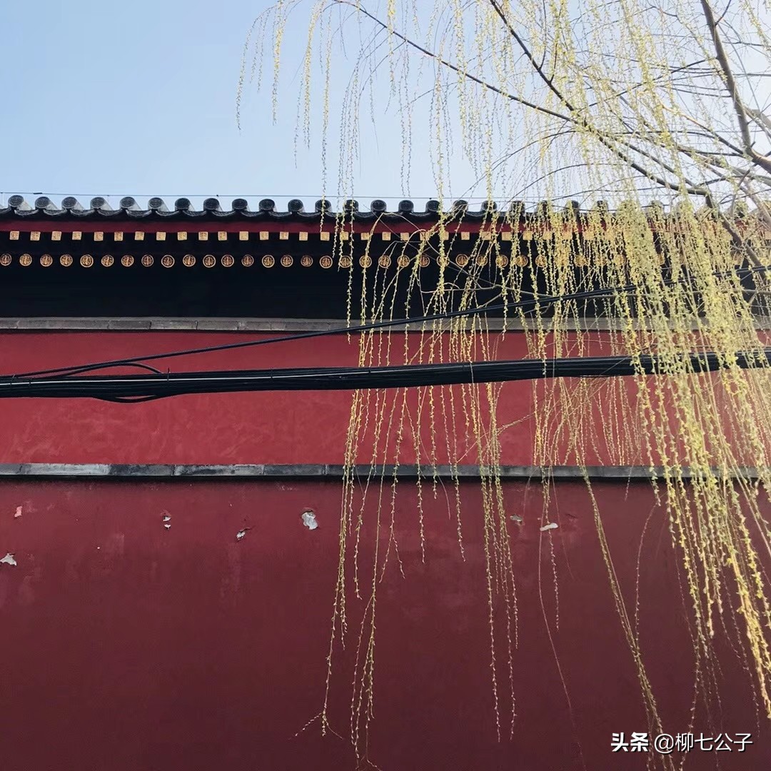 愿有人与你共黄昏，有人问你粥可温；愿你的眼里有星辰和大海
